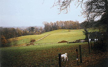 Onderdeel van de heuvelrug, op de achtergrond de Ooypolder